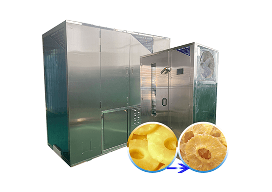 Pineapple dryer machine